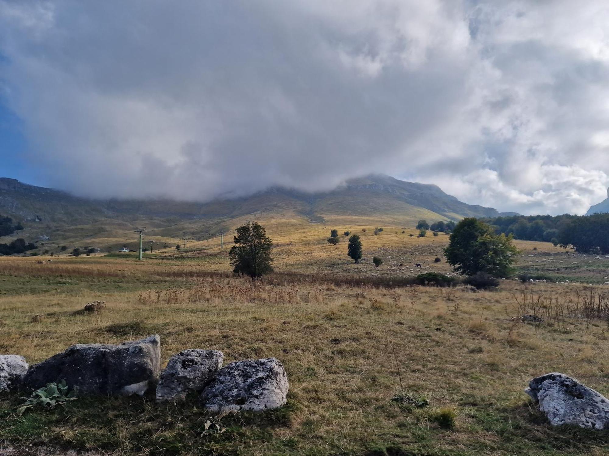 La Tana Del Capriolo Appartement Prati di Tivo Buitenkant foto