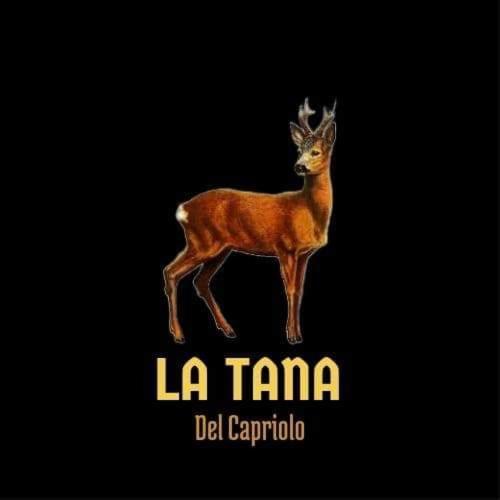 La Tana Del Capriolo Appartement Prati di Tivo Buitenkant foto