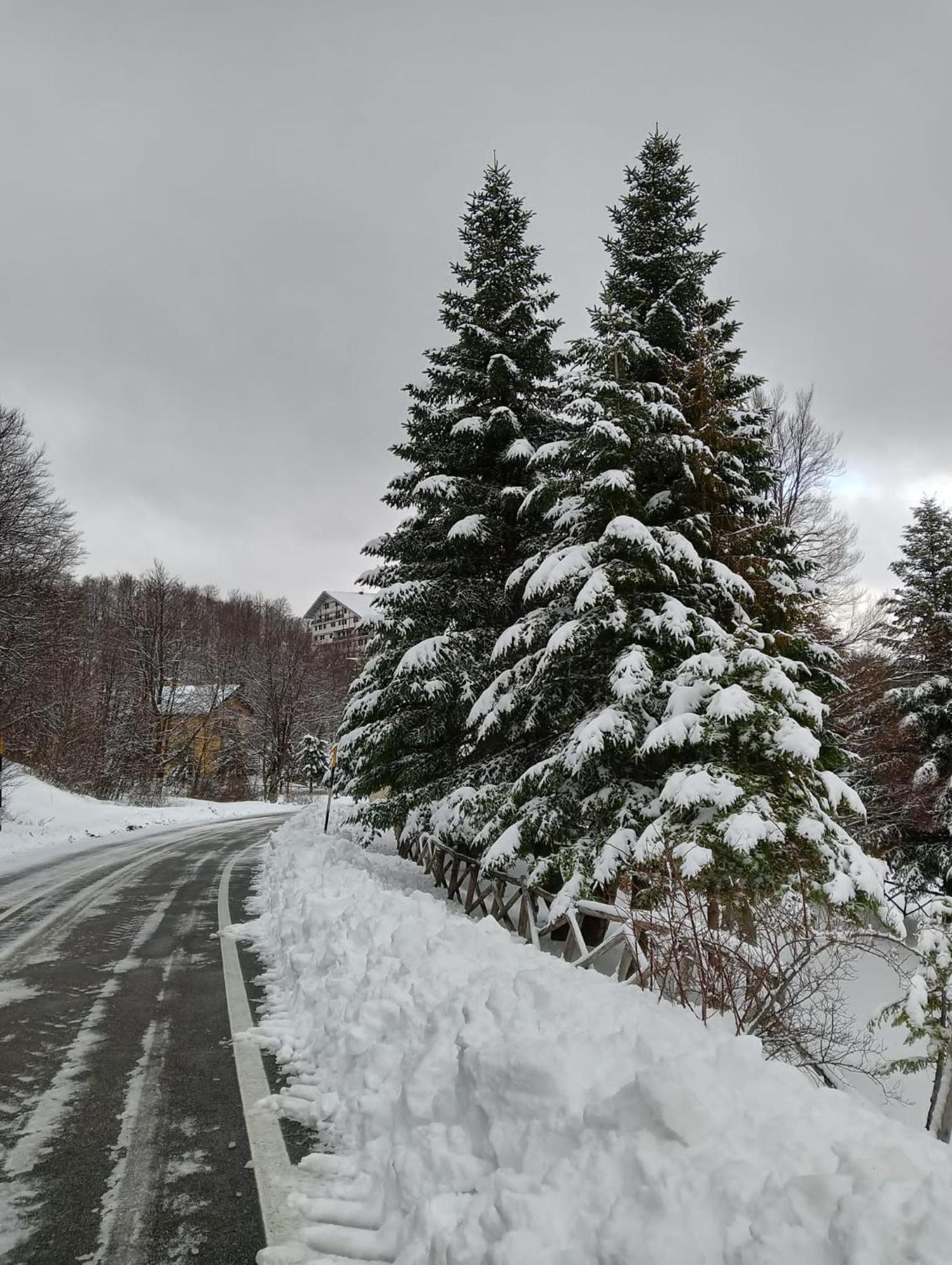 La Tana Del Capriolo Appartement Prati di Tivo Buitenkant foto
