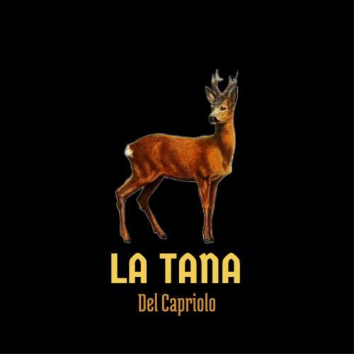 La Tana Del Capriolo Appartement Prati di Tivo Buitenkant foto